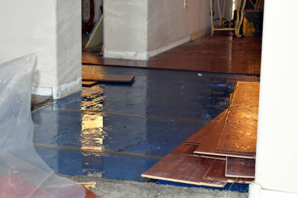 Professional Water Damage Repair technician working in Old Washington, OH